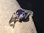 Charming Ring with Amethyst - Indian Silver Jewelry