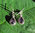 Very dainty Indian Earrings with Amethyst - 925 Silver