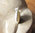 Shiva-Muschel Schmuckset ☼ Anhänger und Ohrringe 925 Silber