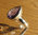 Funkelnder Amethyst Ring - indischer Schmuck aus 925 Silber