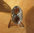 Charmanter Rauchquarz Ring - Indischer 925 Silber Schmuck