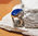Indischer Lapislazuli Ring ❦ Design Lotosblüte ❦ 925 Silber