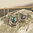 Sparkling Mystic Topaz Earrings ✧ 925 Silver Rim