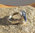 Schimmernder Kyanit Ring ⚜ indischer 925 Silberschmuck