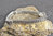 Armband 925 Silber ⚜ Ornament Schließe Lilie ⚜ Ethnodesign